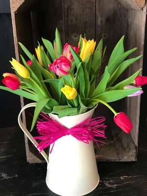 Mixed Tulips and Jug