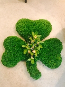 irish shamrock