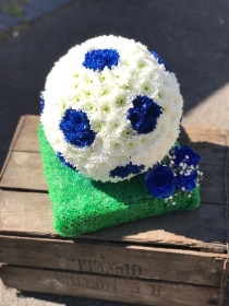 Blue and white football