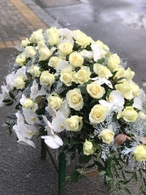5ft white roses and white orchid casket spray